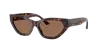Jimmy Choo Acetate Jc5022b Sunglasses In Dark Brown