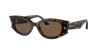 Jimmy Choo Woman Sunglasses Jc5015u In Dark Brown