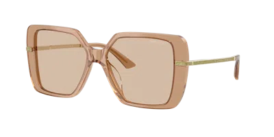 Jimmy Choo Woman Sunglass Jc5048ju In Burgundy