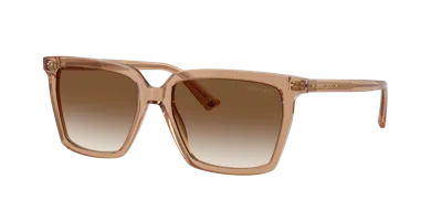 Jimmy Choo Woman Sunglass Jc5051 In Brown