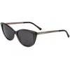 Jimmy Choo Women's 56 Mm Grey Sunglasses In Multi