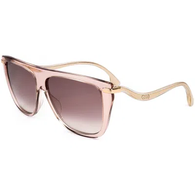 Jimmy Choo Women's 58 Mm Brown Sunglasses In Pink