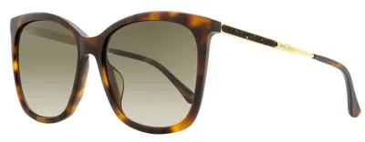 Jimmy Choo Women's Butterfly Sunglasses Nerea /g 05lha Havana/gold 57mm In Brown
