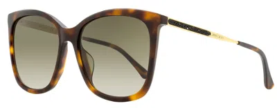 Jimmy Choo Women's Butterfly Sunglasses Nerea /g 05lha Havana/gold 57mm In Multi