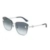 Jimmy Choo Women's  Jc4004hb 300219 Sunglasses In Silver