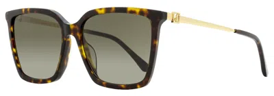 Jimmy Choo Women's Square Sunglasses Totta /g 086ha Havana/gold 56mm In Brown