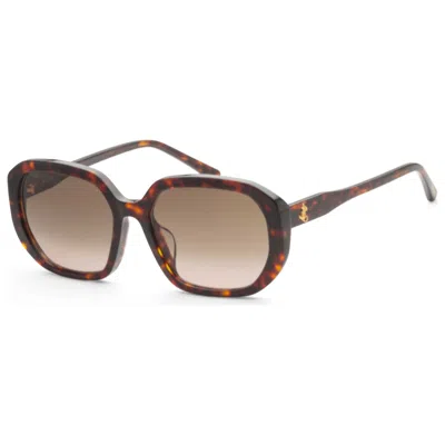 Jimmy Choo Women's Sunglasses In Black