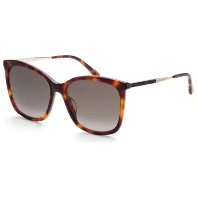 Jimmy Choo Women's Sunglasses In Brown
