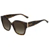 Jimmy Choo Brown Acetate Sunglasses In Black