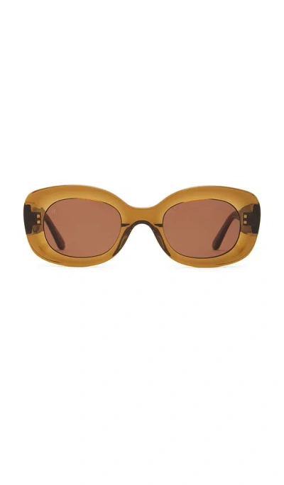 Jimmy Fairly The Cinnamon Sunglasses In 브라운