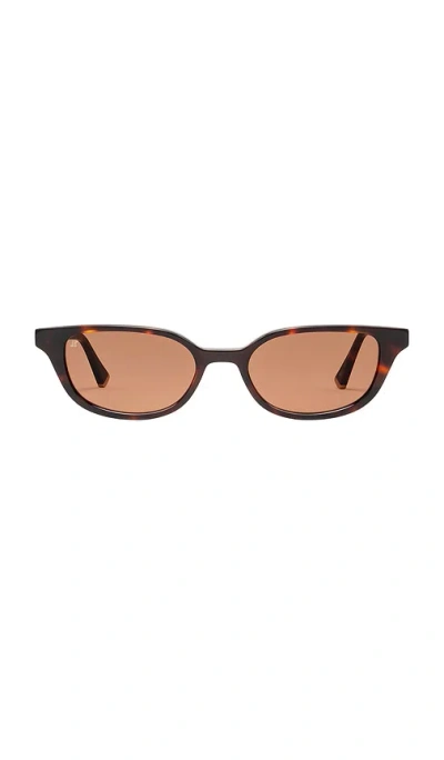 Jimmy Fairly The Pippa Sunglasses In Dark Tortoise