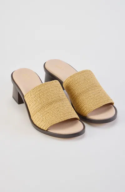 Jjill Avery Textured Heels Shoes In Brown