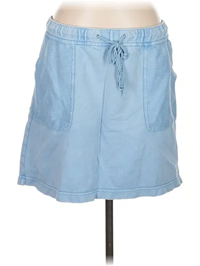 Pre-owned Jjill Casual Skirt In Blue