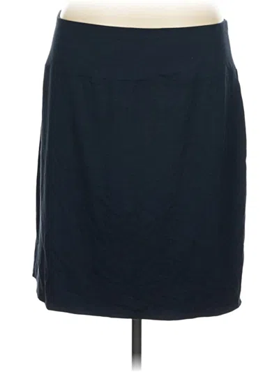 Pre-owned Jjill Casual Skirt In Blue