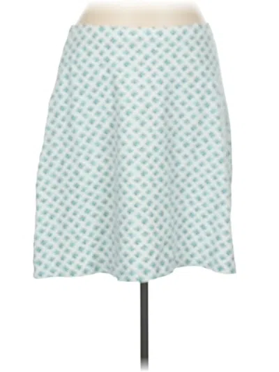 Pre-owned Jjill Casual Skirt In Blue