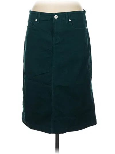 Pre-owned Jjill Casual Skirt In Blue