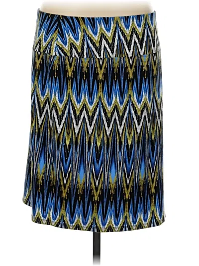 Pre-owned Jjill Casual Skirt In Blue