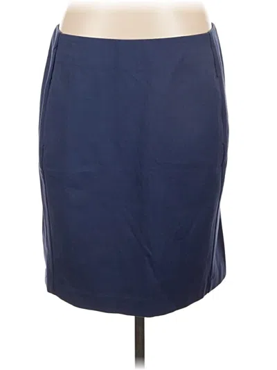 Pre-owned Jjill Casual Skirt In Blue
