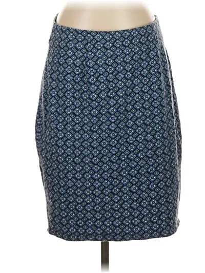 Pre-owned Jjill Casual Skirt In Blue