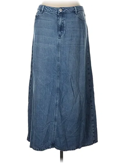 Pre-owned Jjill Denim Skirt In Blue
