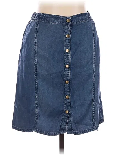 Pre-owned Jjill Denim Skirt In Blue