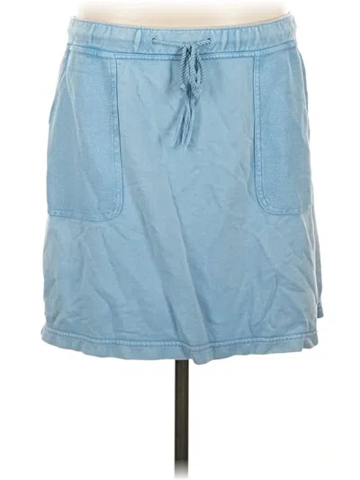 Pre-owned Jjill Denim Skirt In Blue