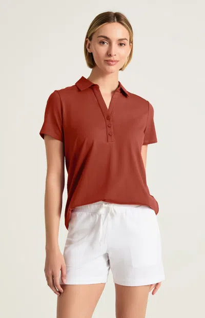 Jjill Fit Progress Knit Polo In Brown