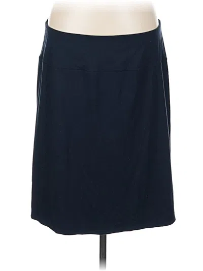 Pre-owned Jjill Formal Skirt In Blue
