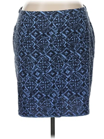 Pre-owned Jjill Formal Skirt In Blue