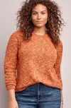 Jjill J.jill Harvest Moon Sweater In Pumpkin Spice Multi