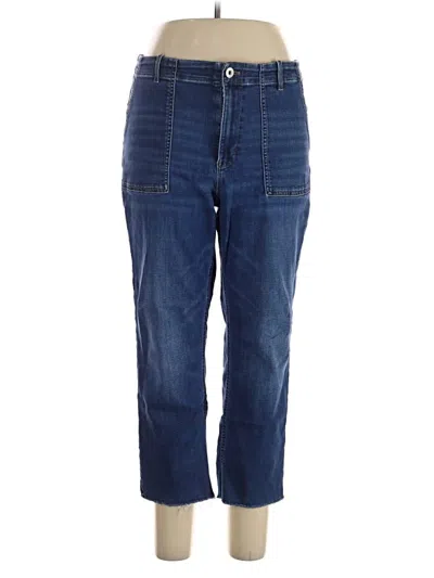 Pre-owned Jjill Jeans In Blue