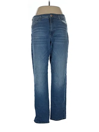 Pre-owned Jjill Jeans In Blue