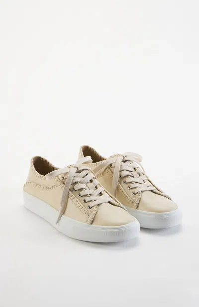Jjill Molly Sneakers In White/ivory