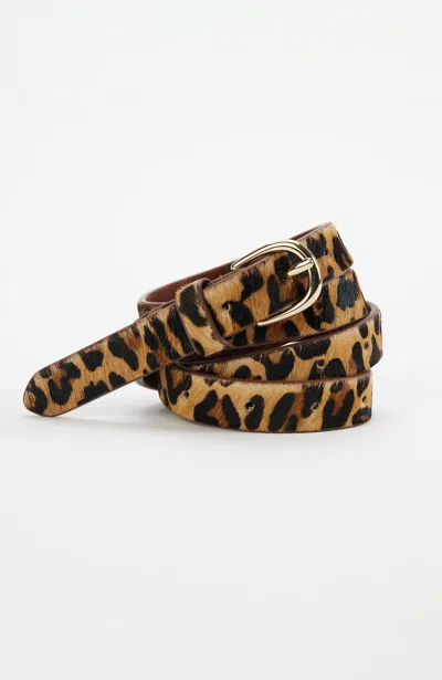 Jjill J.jill Nora Belt In Neutral Multi