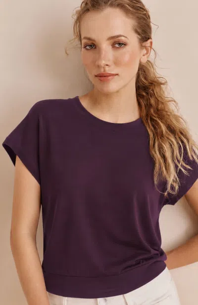 Jjill Petite Banded-hem Top In Mulberry