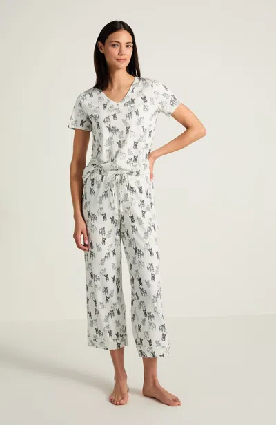 Jjill Petite Sleep Ultrasoft V-neck Tee Shirt In White