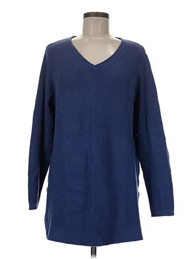 Pre-owned Jjill Pullover Sweater In Blue