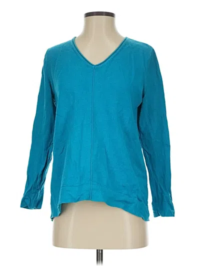 Pre-owned Jjill Pullover Sweater In Blue