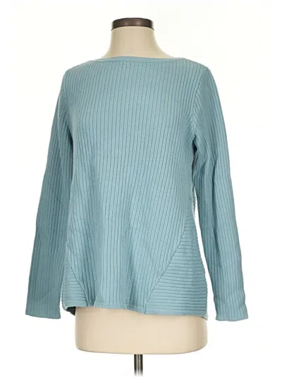 Pre-owned Jjill Pullover Sweater In Blue