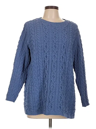 Pre-owned Jjill Pullover Sweater In Blue