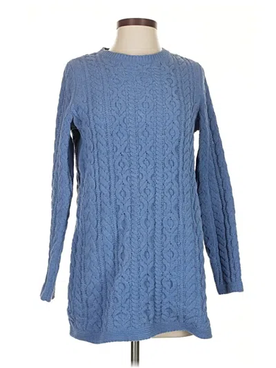 Pre-owned Jjill Pullover Sweater In Blue