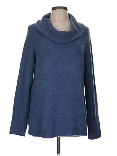 Pre-owned Jjill Pullover Sweater In Blue