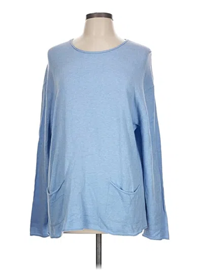 Pre-owned Jjill Pullover Sweater In Blue