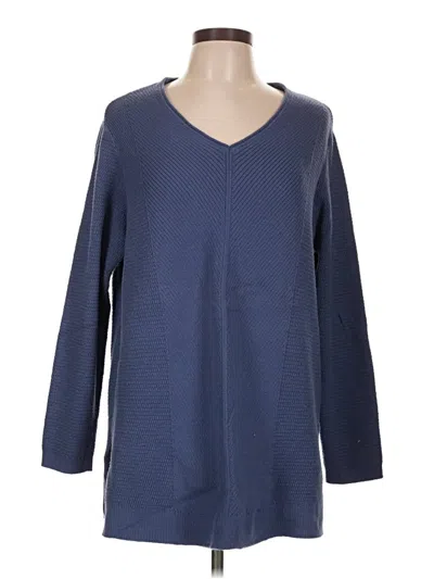 Pre-owned Jjill Pullover Sweater In Blue