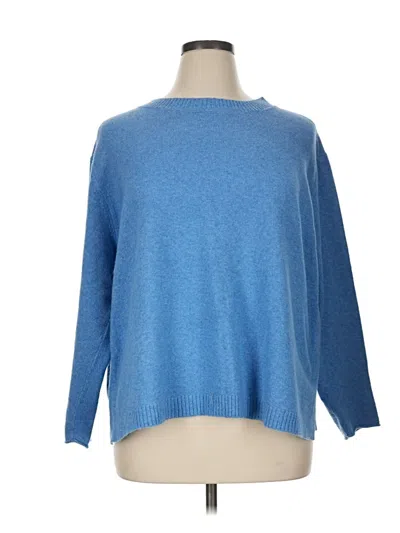 Pre-owned Jjill Pullover Sweater In Blue