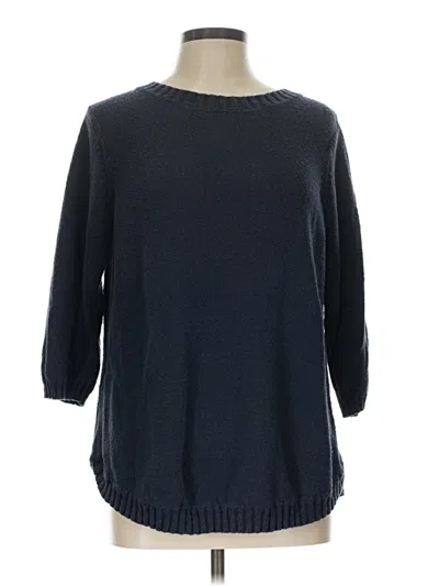 Pre-owned Jjill Pullover Sweater In Blue