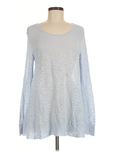 Pre-owned Jjill Pullover Sweater In Blue