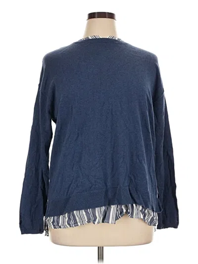 Pre-owned Jjill Pullover Sweater In Blue