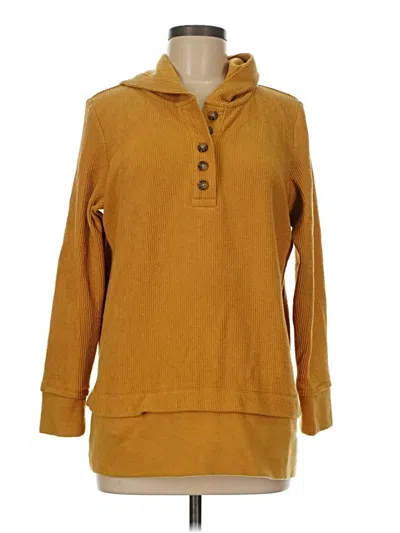 Pre-owned Jjill Pullover Sweater In Brown