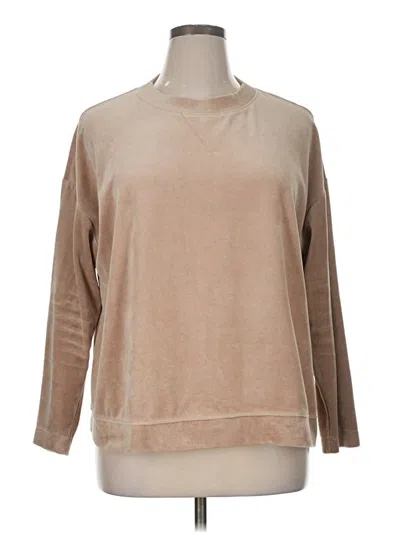 Pre-owned Jjill Pullover Sweater In Brown